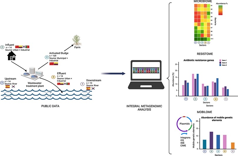 Metagenomic AMR paper